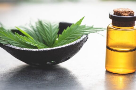 Olejek CBD we flakonie obok rośliny w doniczce.